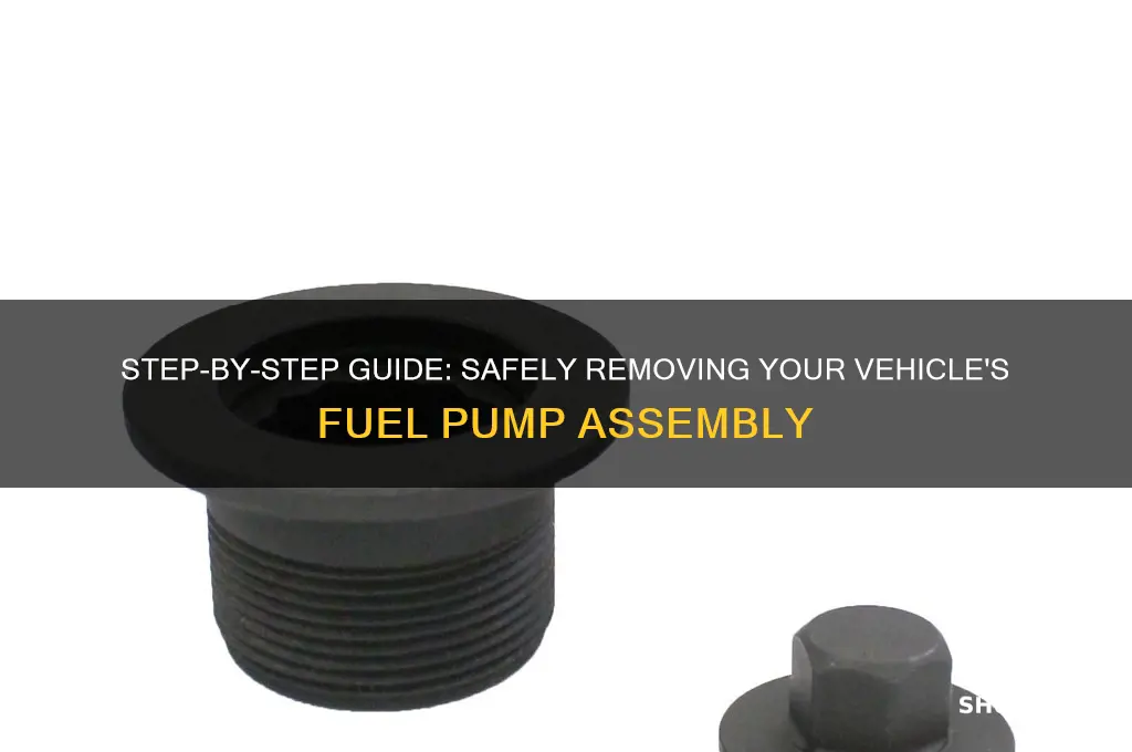 how to remove fuel pump assembly