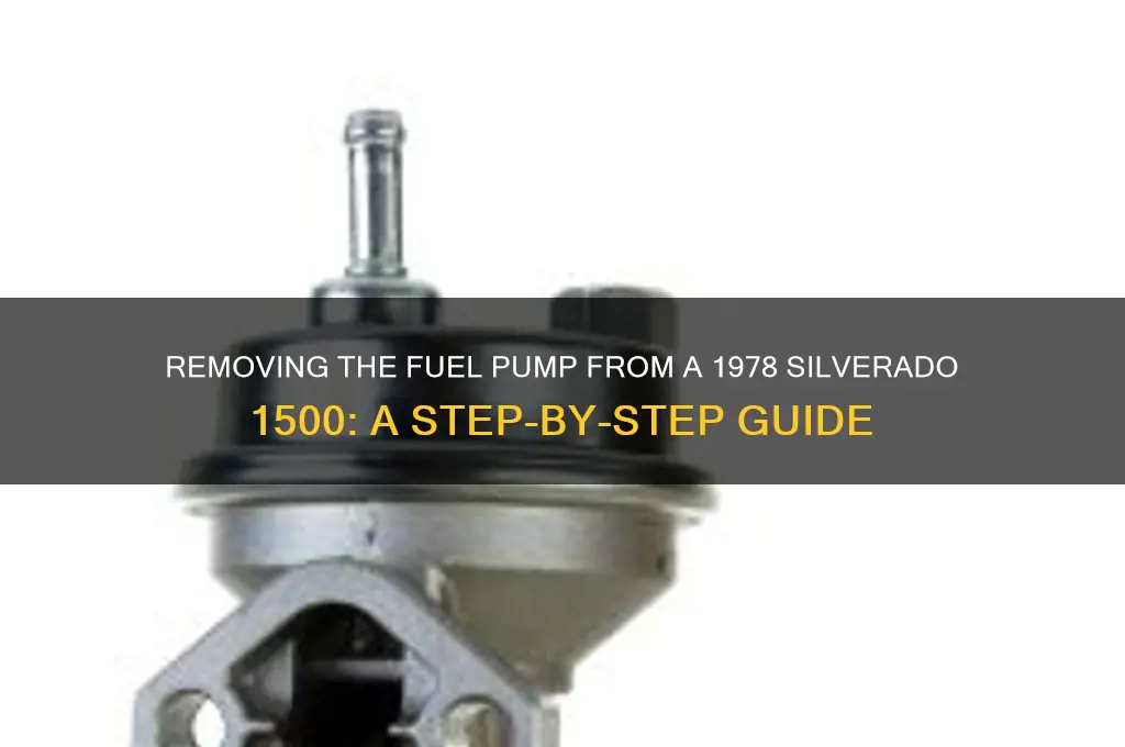 how to remove fuel pump from 1978 silverado 1500
