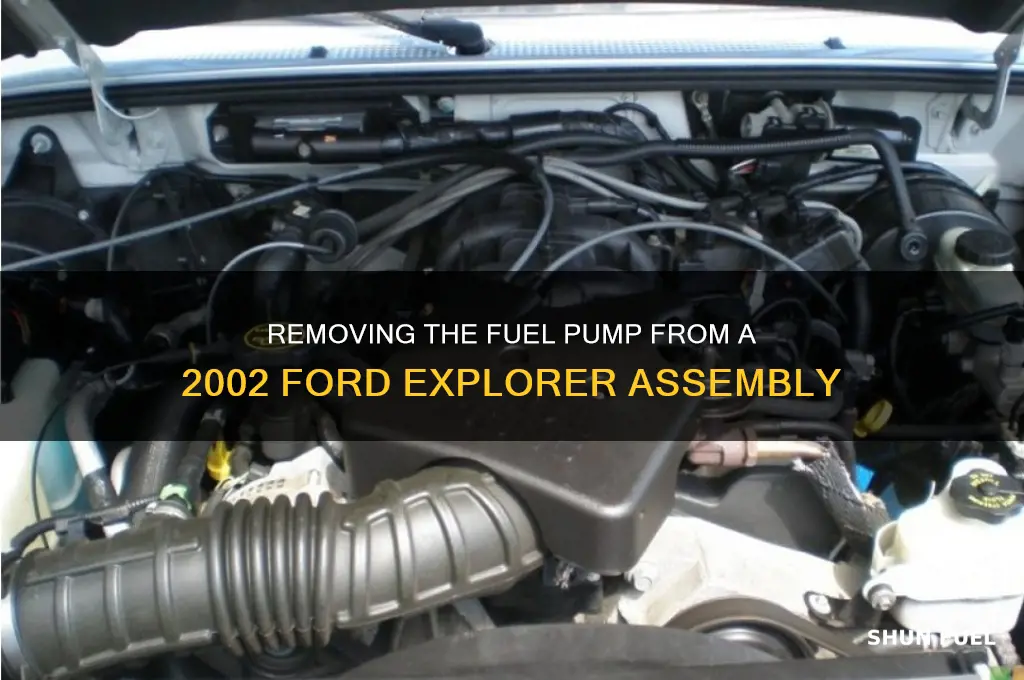 how to remove fuel pump from assembly 2002 ford explorer