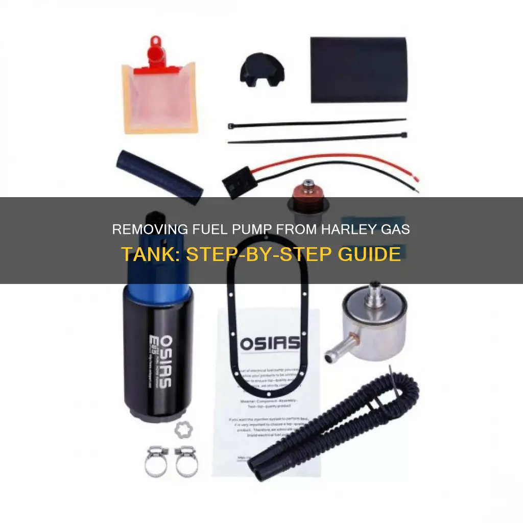 how to remove fuel pump from harley gas tank