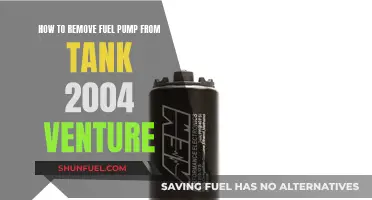 Removing Fuel Pump: 2004 Venture Guide
