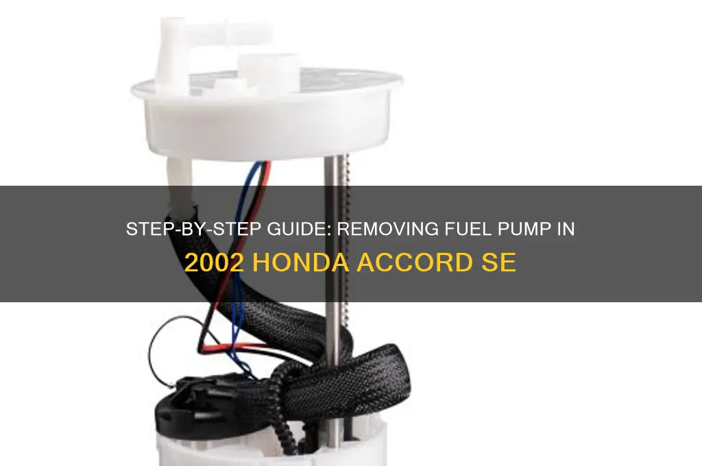 how to remove fuel pump honda accord se 2002