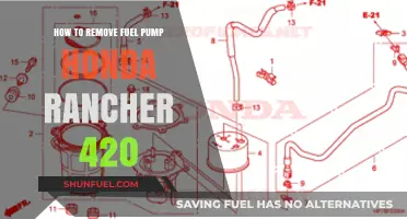 Step-by-Step Guide: Removing Fuel Pump on Honda Rancher 420