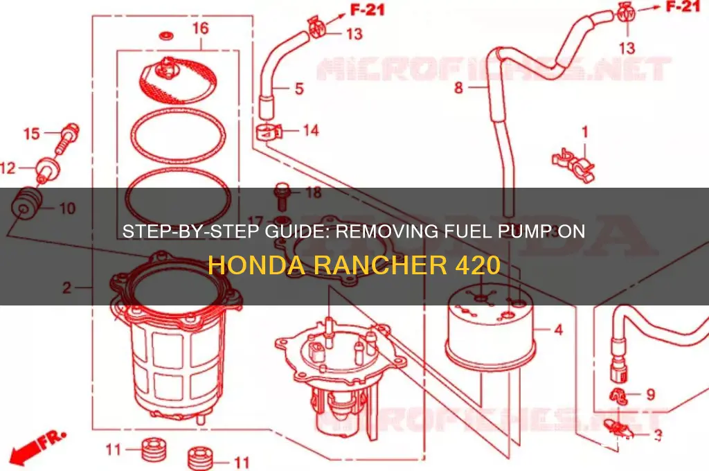 how to remove fuel pump honda rancher 420