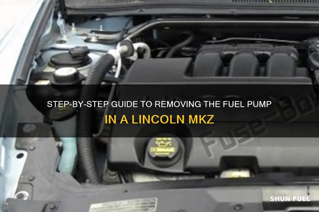 how to remove fuel pump lincoln mkz