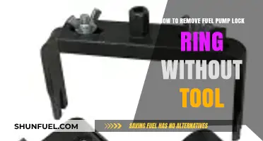 DIY Fuel Pump Lock Ring Removal: Tool-Free Quick Fix Guide