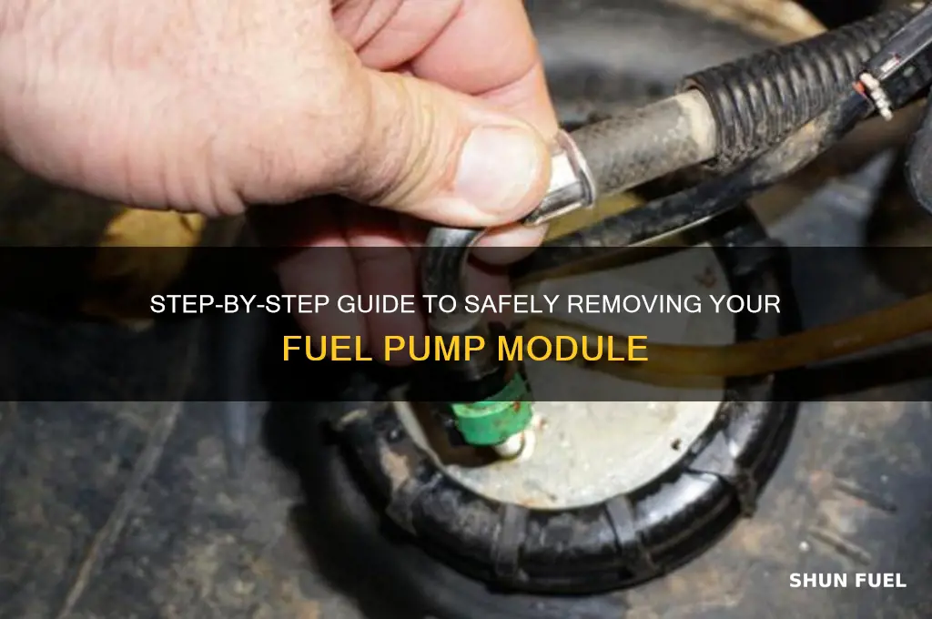 how to remove fuel pump module