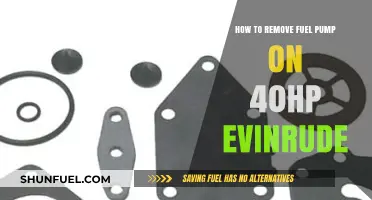Step-by-Step Guide: Removing Fuel Pump on 40HP Evinrude Outboard
