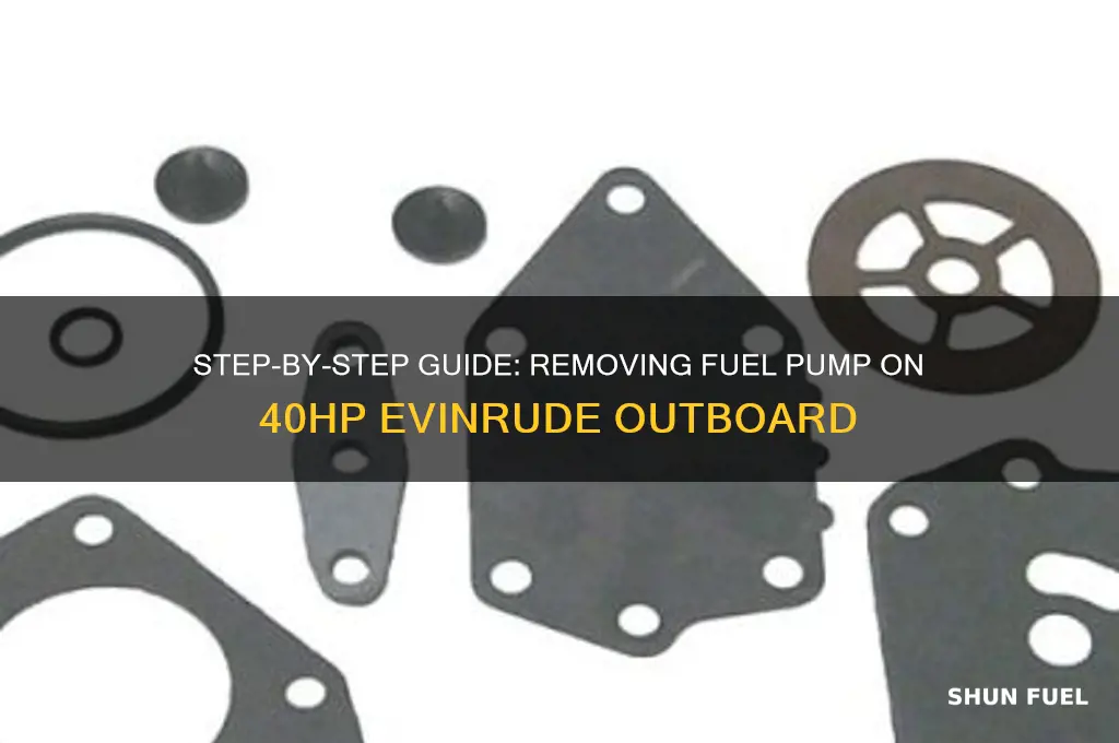 how to remove fuel pump on 40hp evinrude