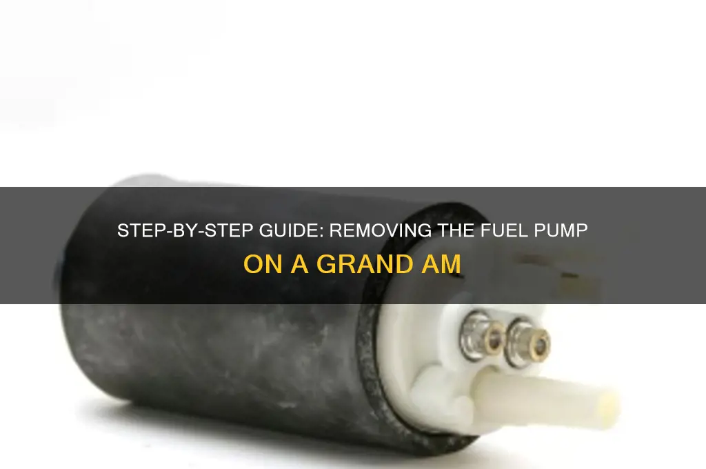 how to remove fuel pump on grand am