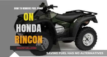 Step-by-Step Guide: Removing the Fuel Pump on a Honda Rincon
