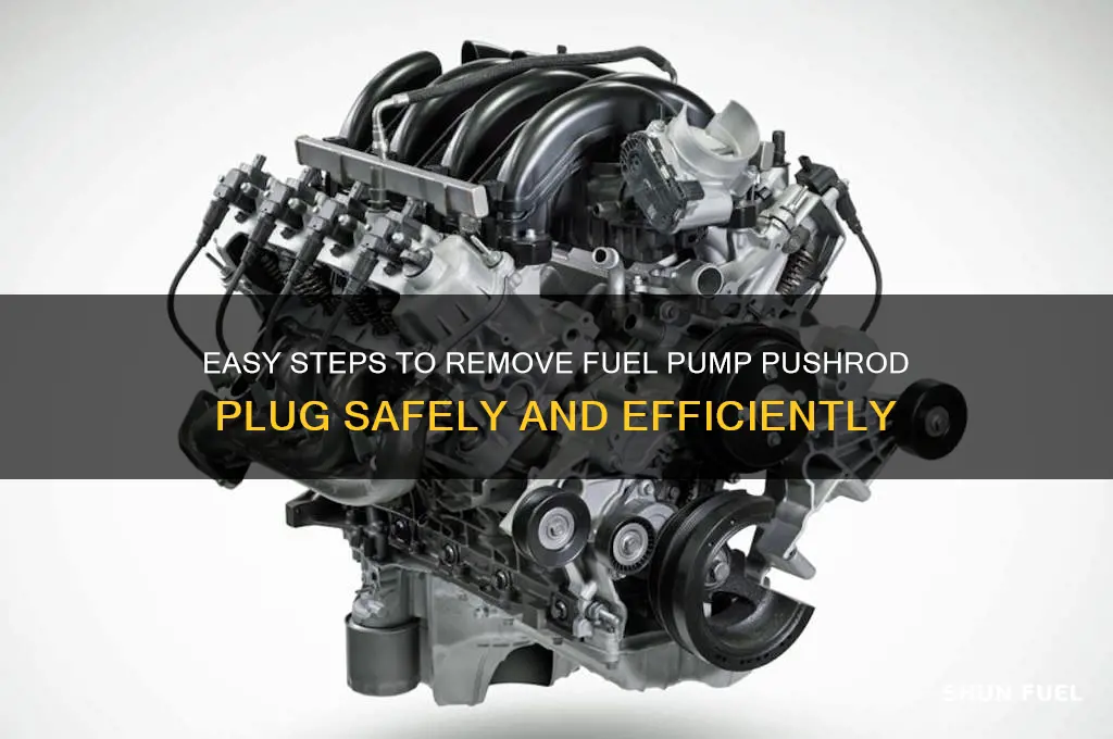 how to remove fuel pump pushrod plug