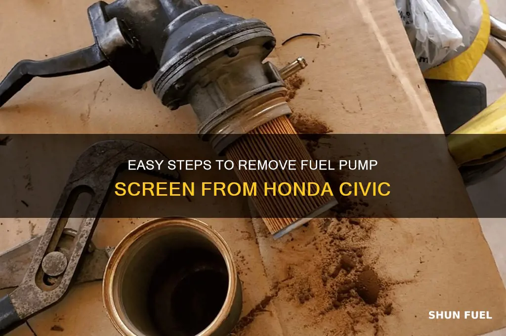how to remove fuel pump screen from civic