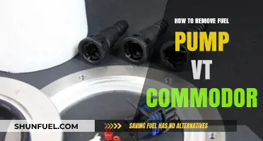 Step-by-Step Guide to Removing Fuel Pump in VT Commodore