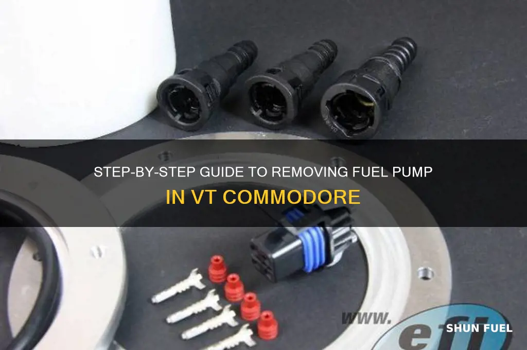 how to remove fuel pump vt commodore