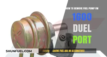 Step-by-Step Guide: Removing VW 1600 Dual Port Fuel Pump