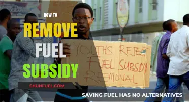 Strategies for Phasing Out Fuel Subsidies: A Comprehensive Guide