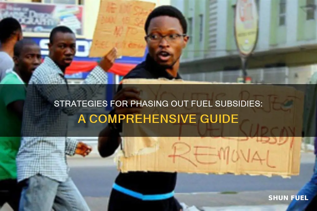 how to remove fuel subsidy