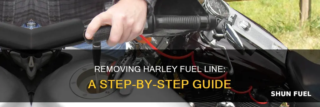 how to remove harley fuel line