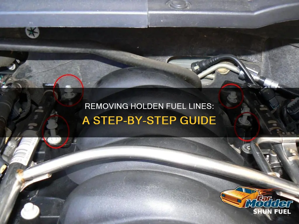 how to remove holden fuel lines