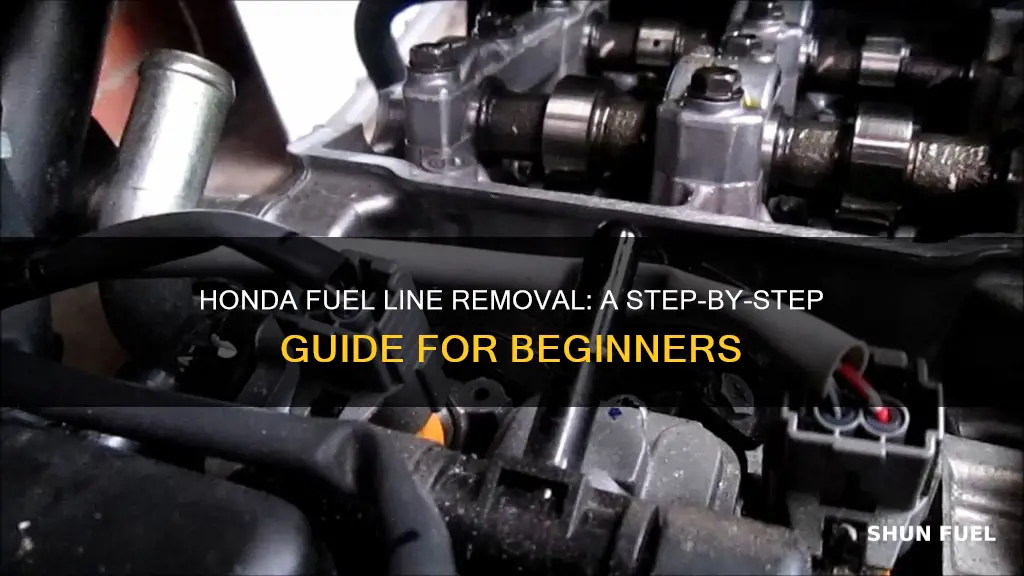 how to remove honda fuel line