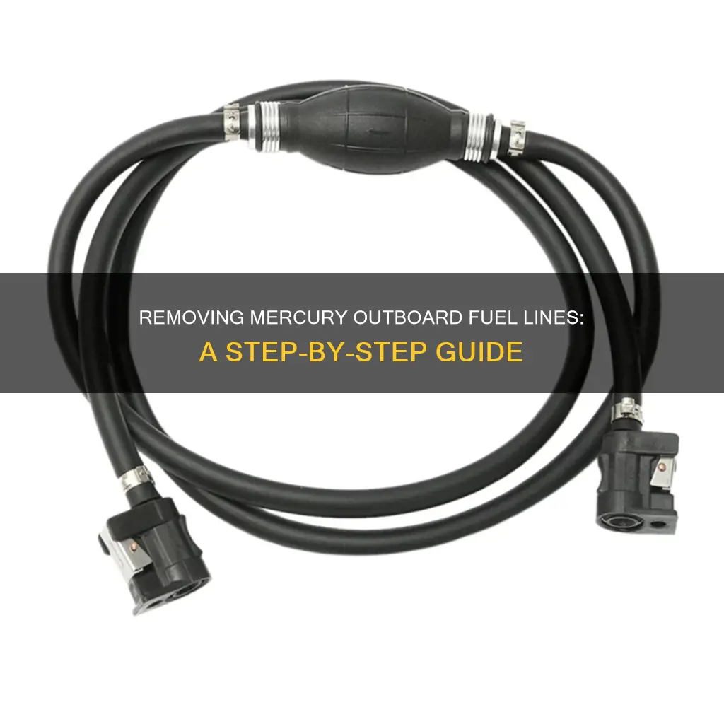 how to remove mercury outboard fuel line from enging