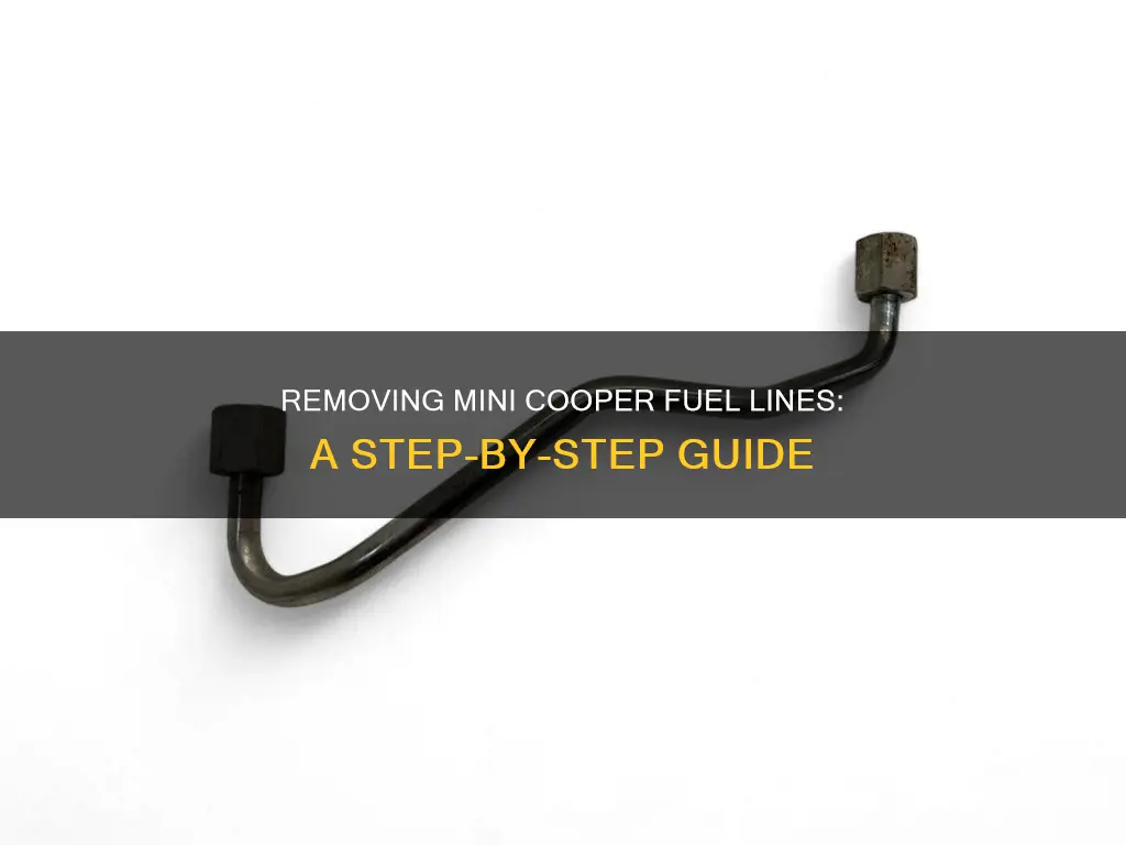 how to remove mini cooper fuel line