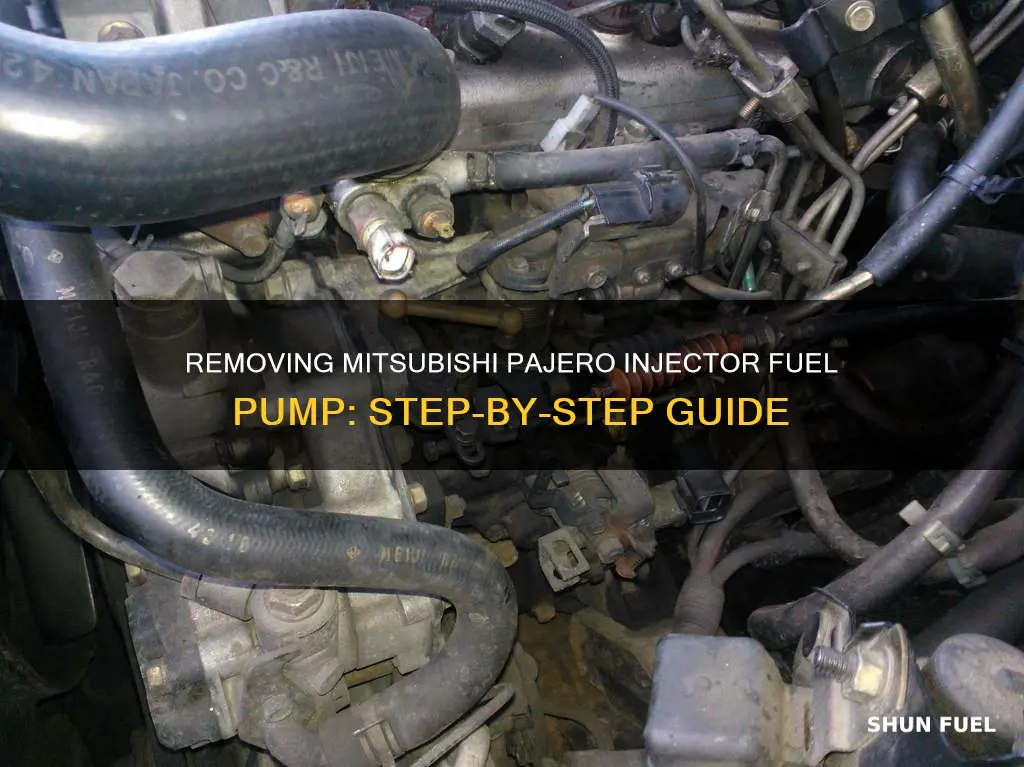 how to remove mitsubishi pajero injector fuel pump