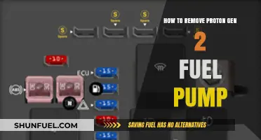 Step-by-Step Guide to Removing Proton Gen 2 Fuel Pump Safely