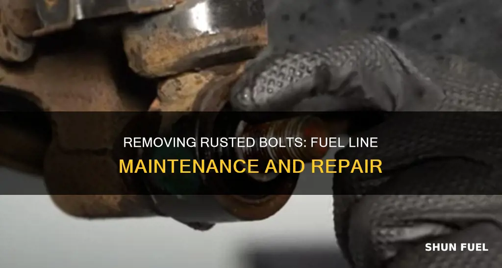 how to remove rusted bolts from fuel line