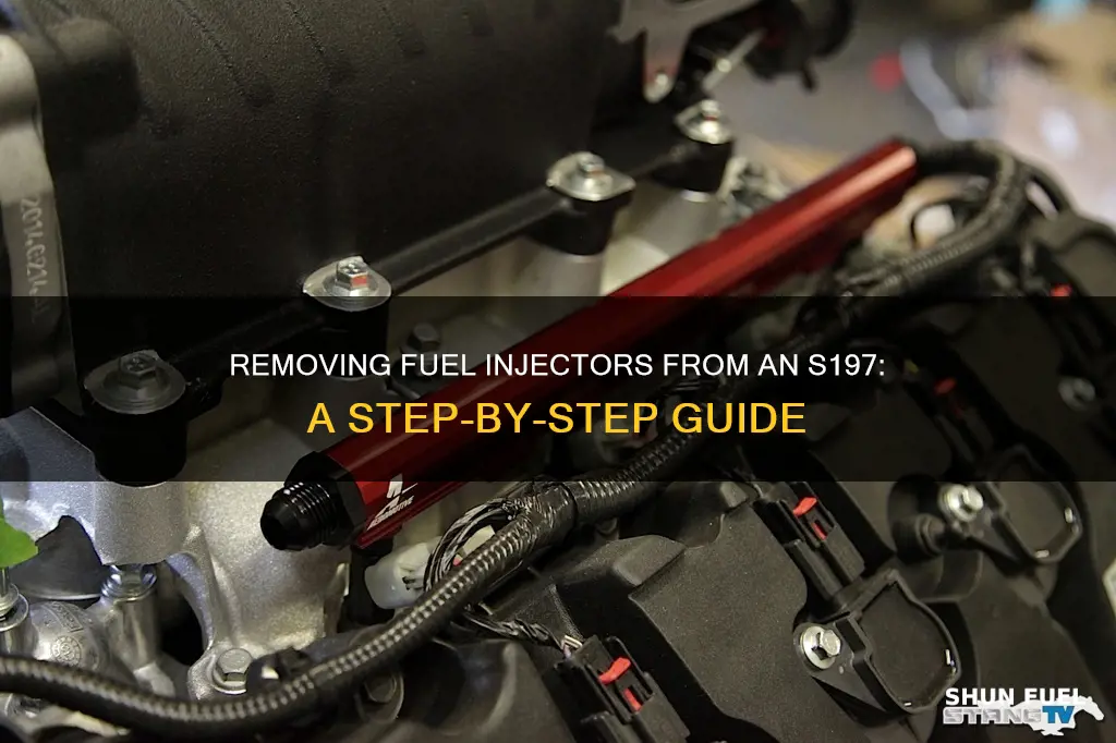 how to remove s197 fuel injectors