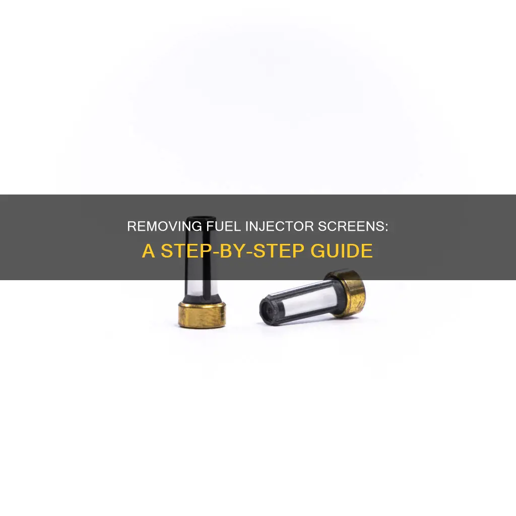 how to remove screen in fuel injector