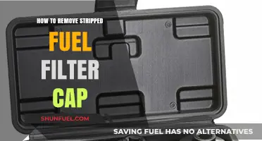 Removing a Stripped Fuel Filter Cap: Easy DIY Guide