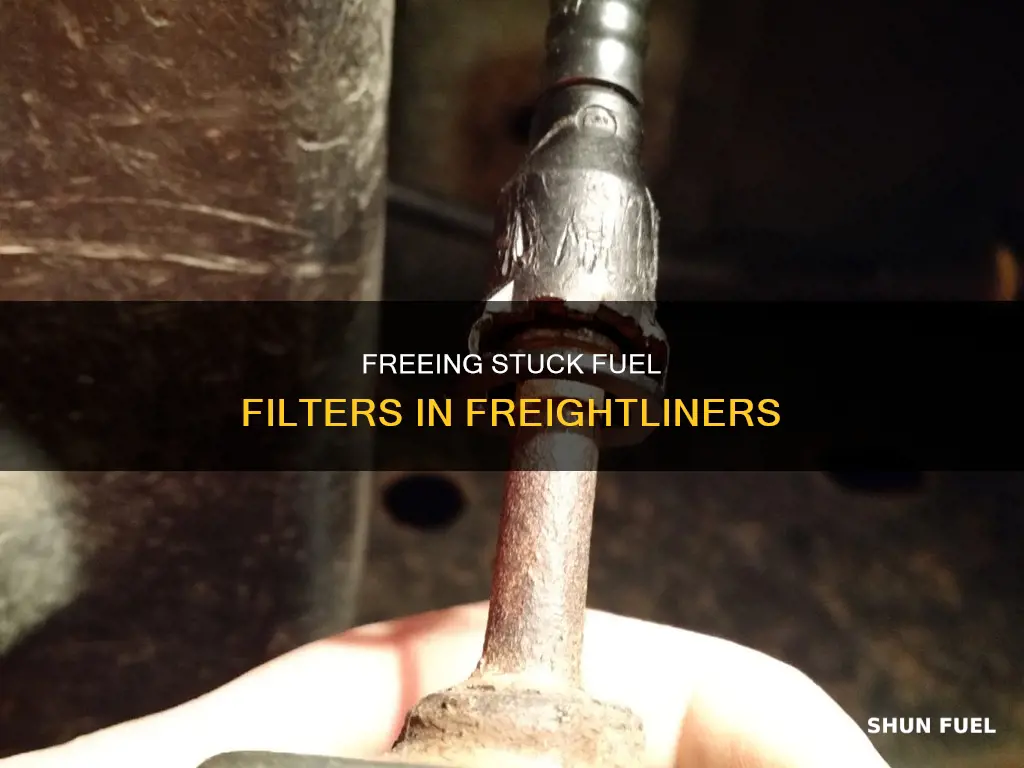 how to remove stuck fuel filter freightliner