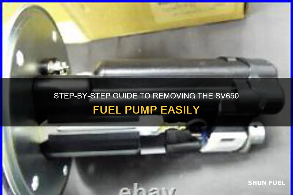how to remove sv650 fuel pump