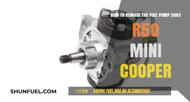 DIY Guide: Removing Fuel Pump from 2003 Mini Cooper R50