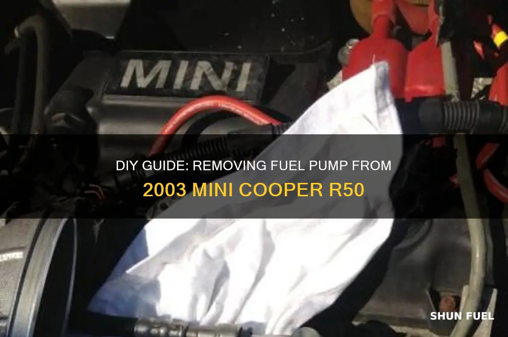 how to remove the fuel pump 2003 r50 mini cooper
