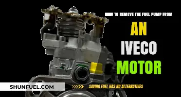 Step-by-Step Guide: Removing the Fuel Pump from an Iveco Motor