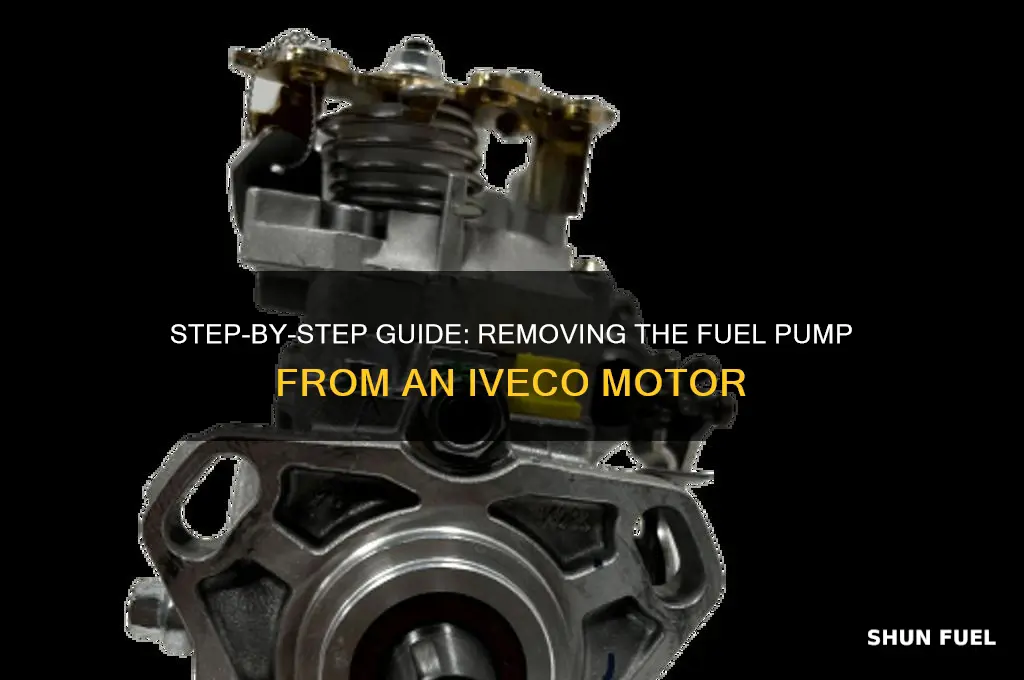 how to remove the fuel pump from an iveco motor