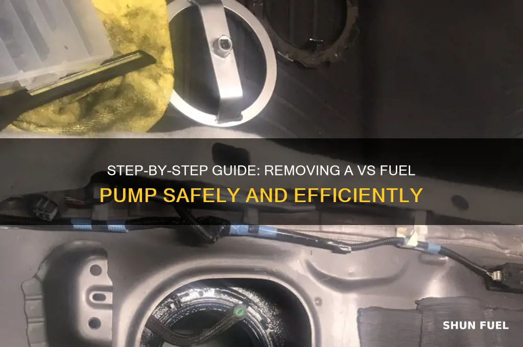 how to remove vs fuel pump