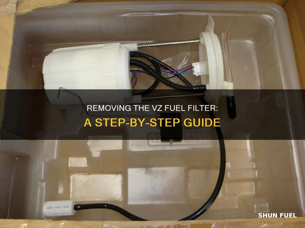 how to remove vz fuel filter
