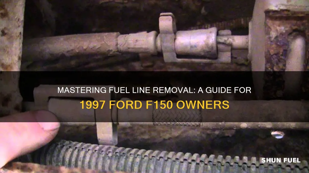 how to remove1997 ford f150 fuel lines