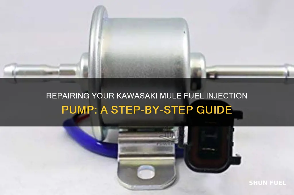 how to repair a kawasaki mule fuel injection pump