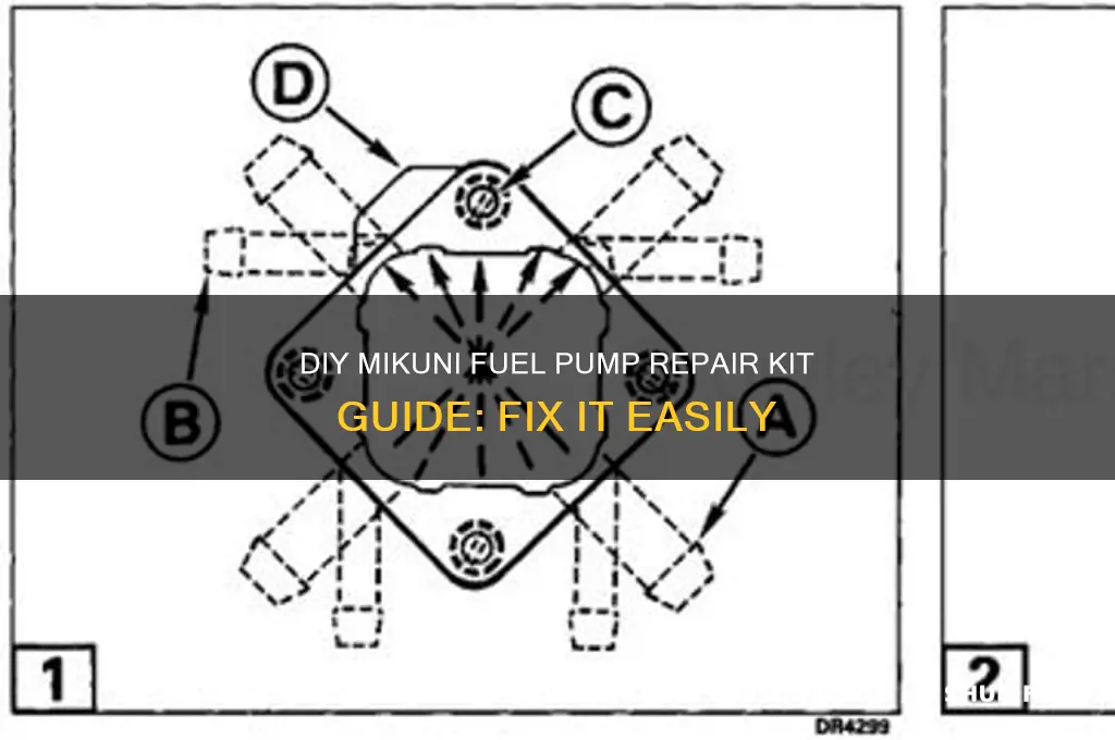 how to repair a mikuni fuel pump repair kit