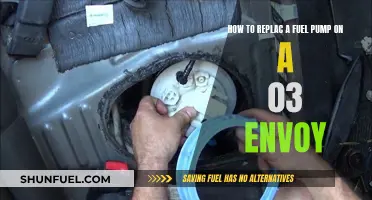 Replacing Fuel Pumps: 03 Envoy Guide