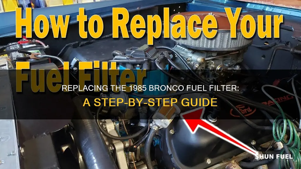 how to replace 1985 bronco fuel filter