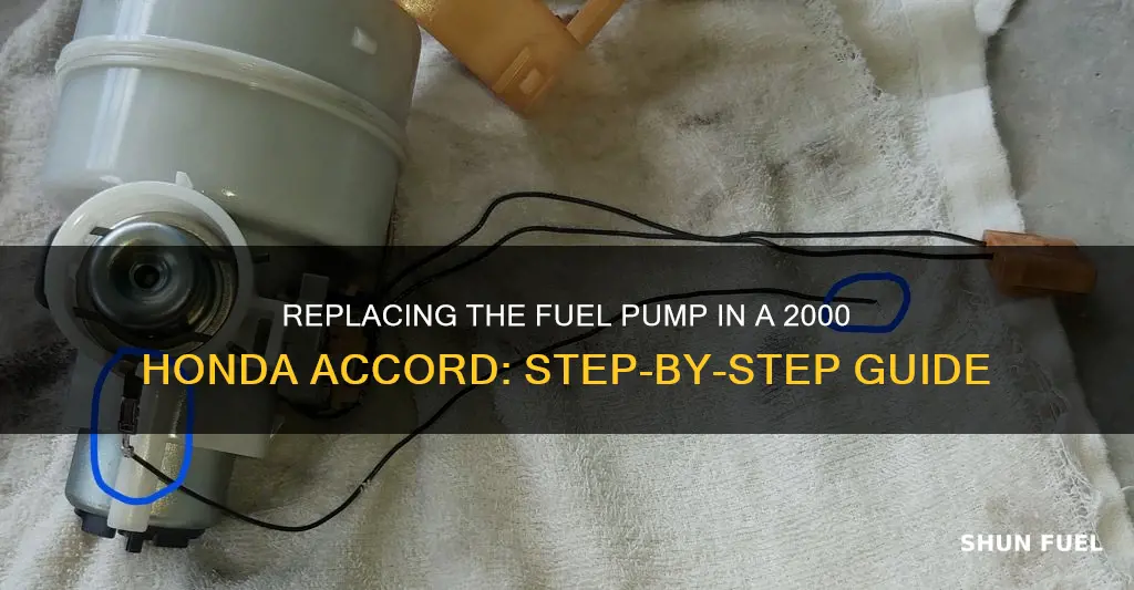 how to replace 2000 honda accord fuel pump
