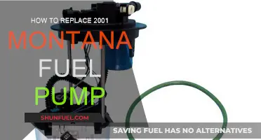 Replacing 2001 Montana Fuel Pump: Step-by-Step Guide