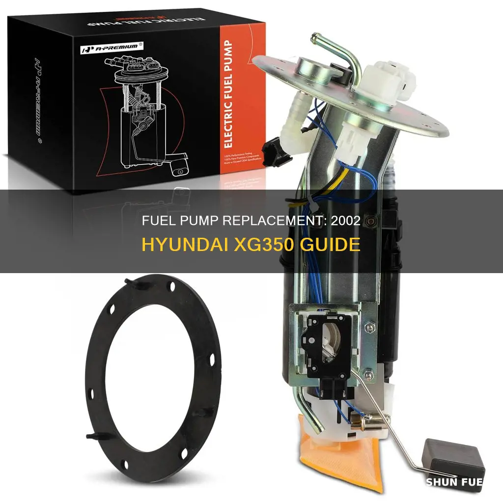 how to replace 2002 hyundai xg350 fuel pump