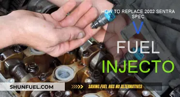 Replacing Fuel Injectors: 2002 Sentra Spec V Guide